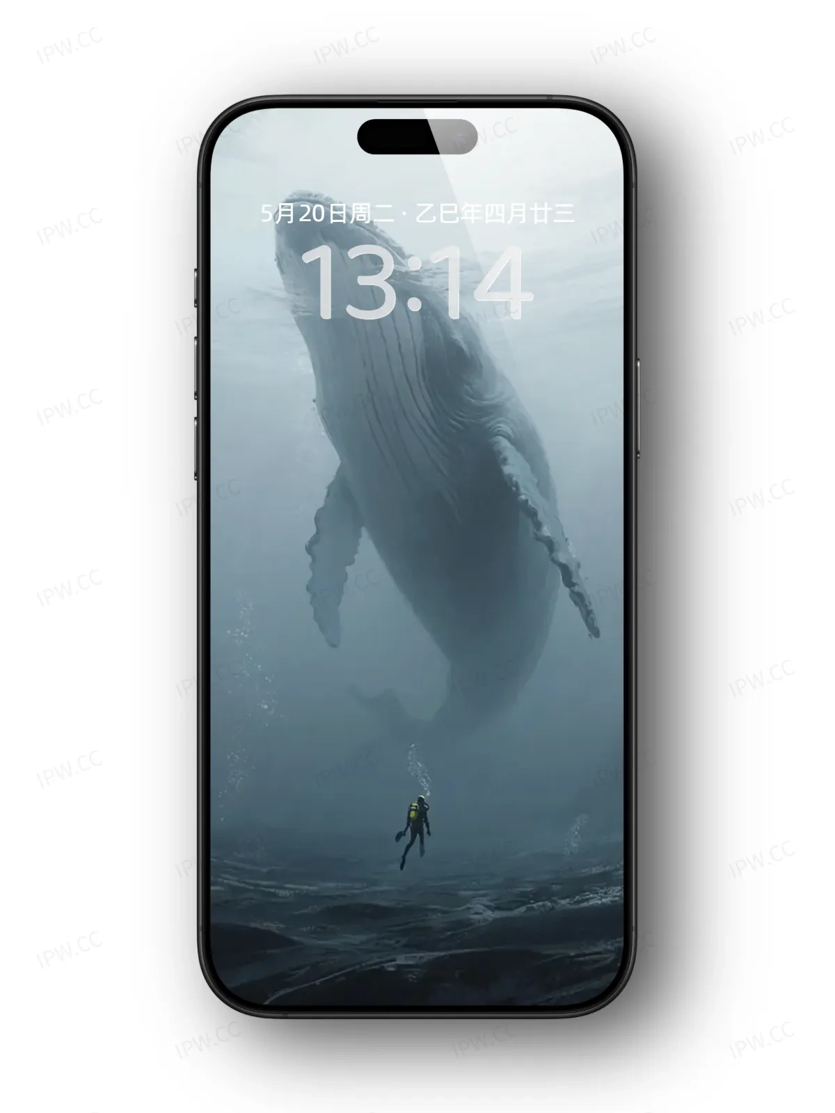鲸鱼手机高清静态壁纸#20250730142850 1dcb4b4fd80c84d