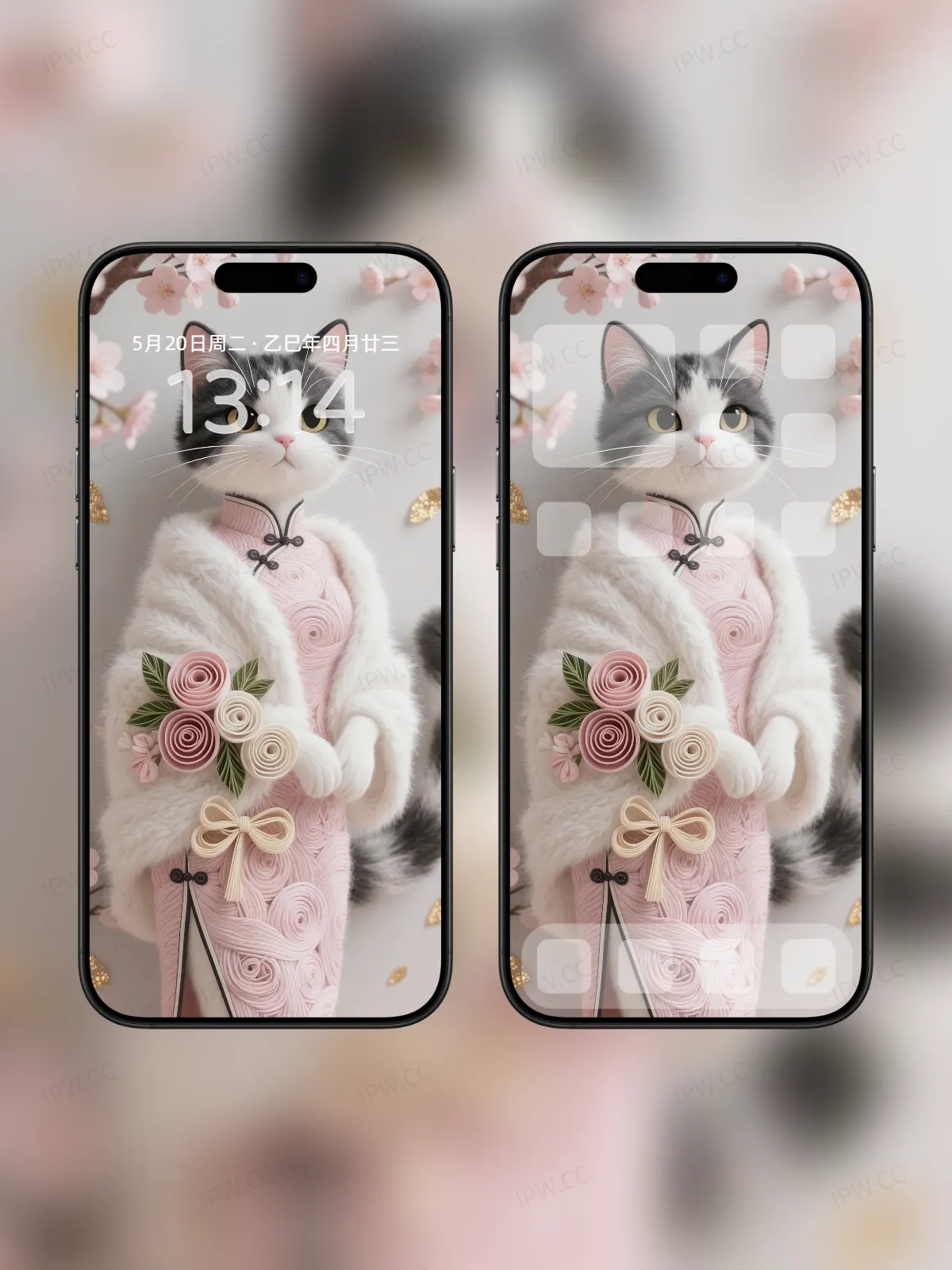 猫小姐手机高清静态壁纸#20250801230344 1dcd38af1aa3078