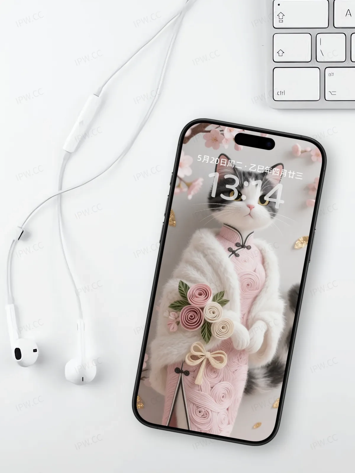 猫小姐手机高清静态壁纸#20250801230344 2717dc0cbb3014f