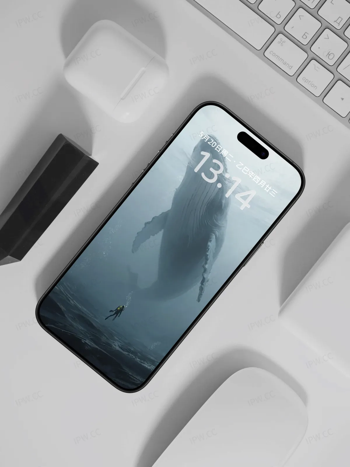 鲸鱼手机高清静态壁纸#20250730142850 309f89e494a4777