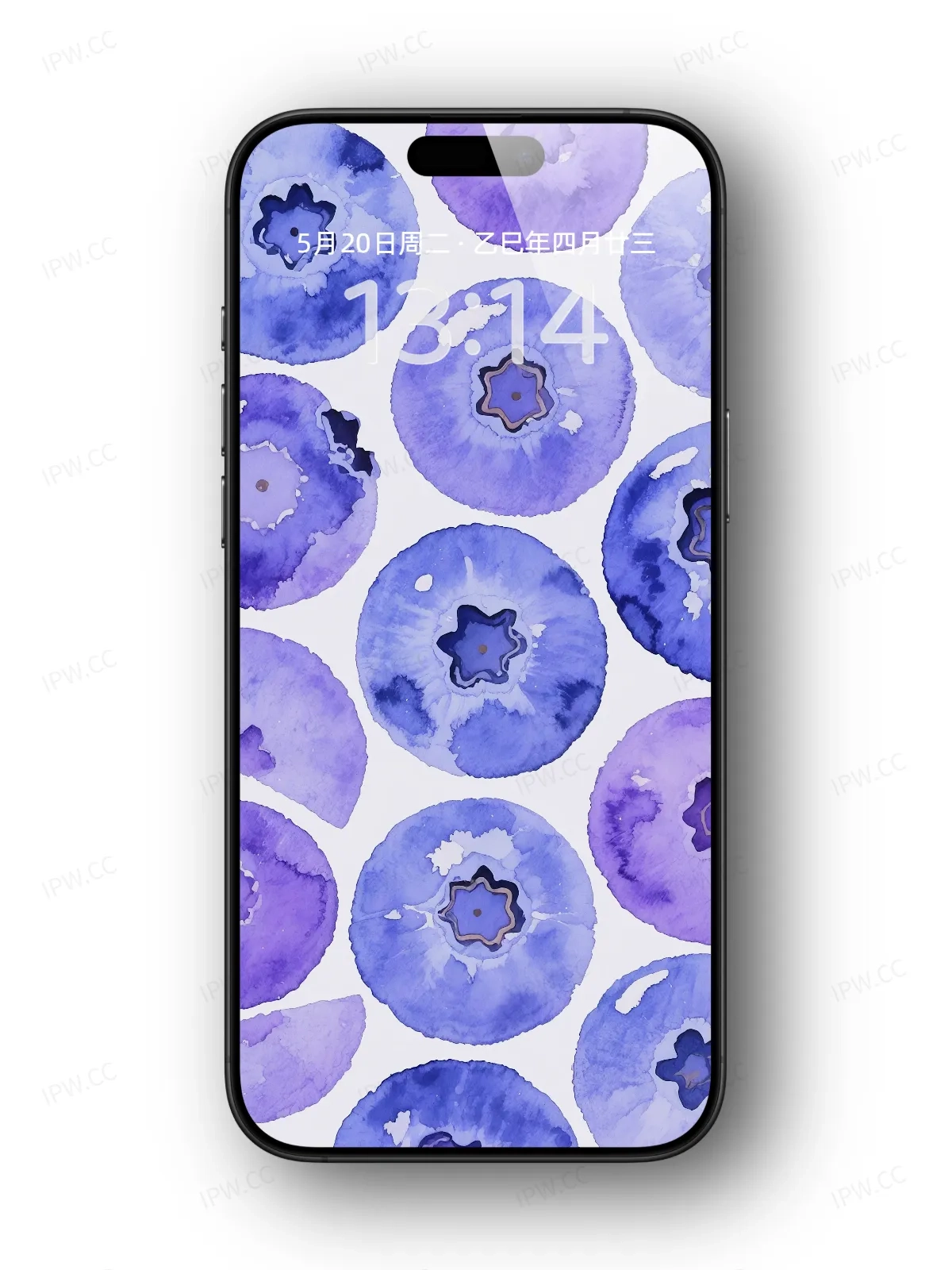 蓝莓手机高清静态壁纸#20250801232122 328903f177944be