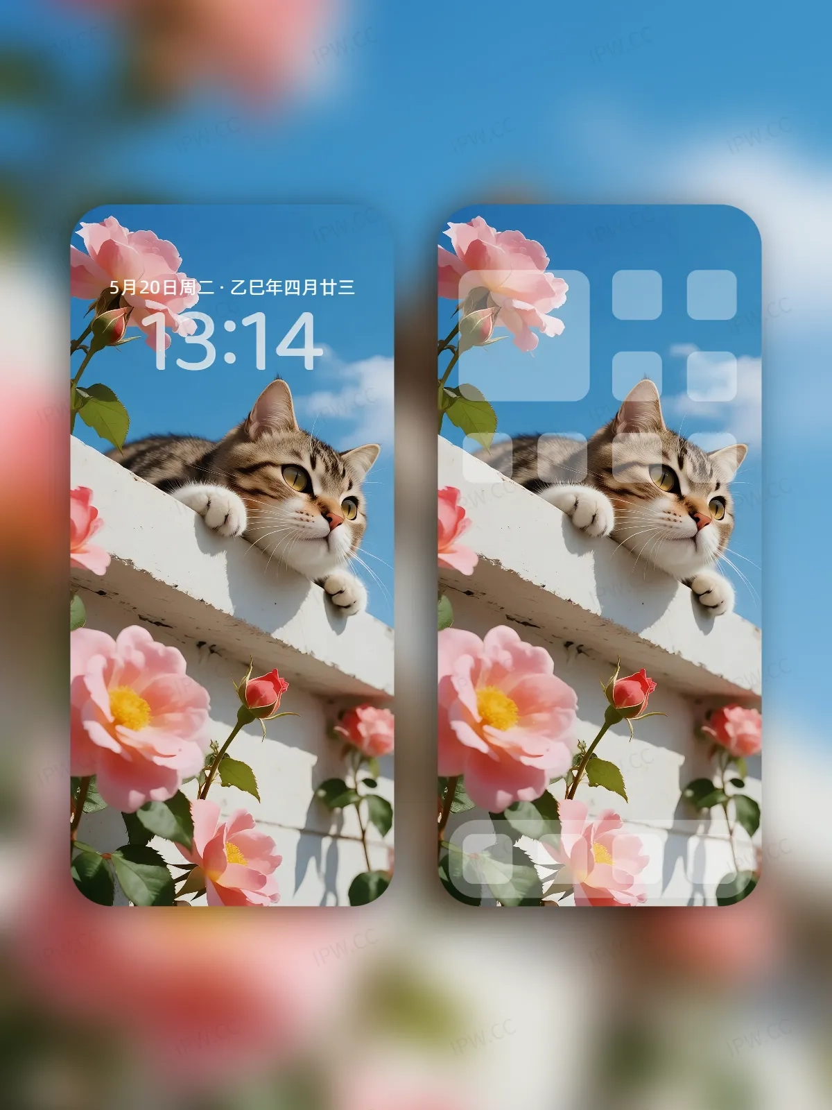 墙上的猫咪手机高清静态壁纸#20250801231745 32eb2fe5b14d883