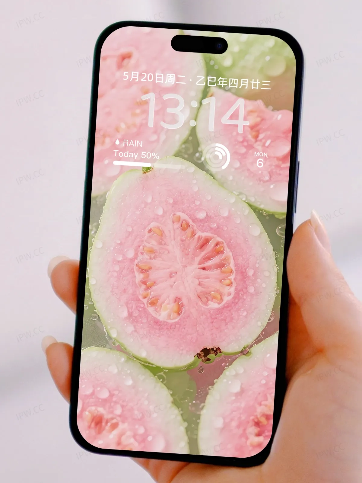 番石榴手机高清静态壁纸#20250801230409 4371784c03dfcdb