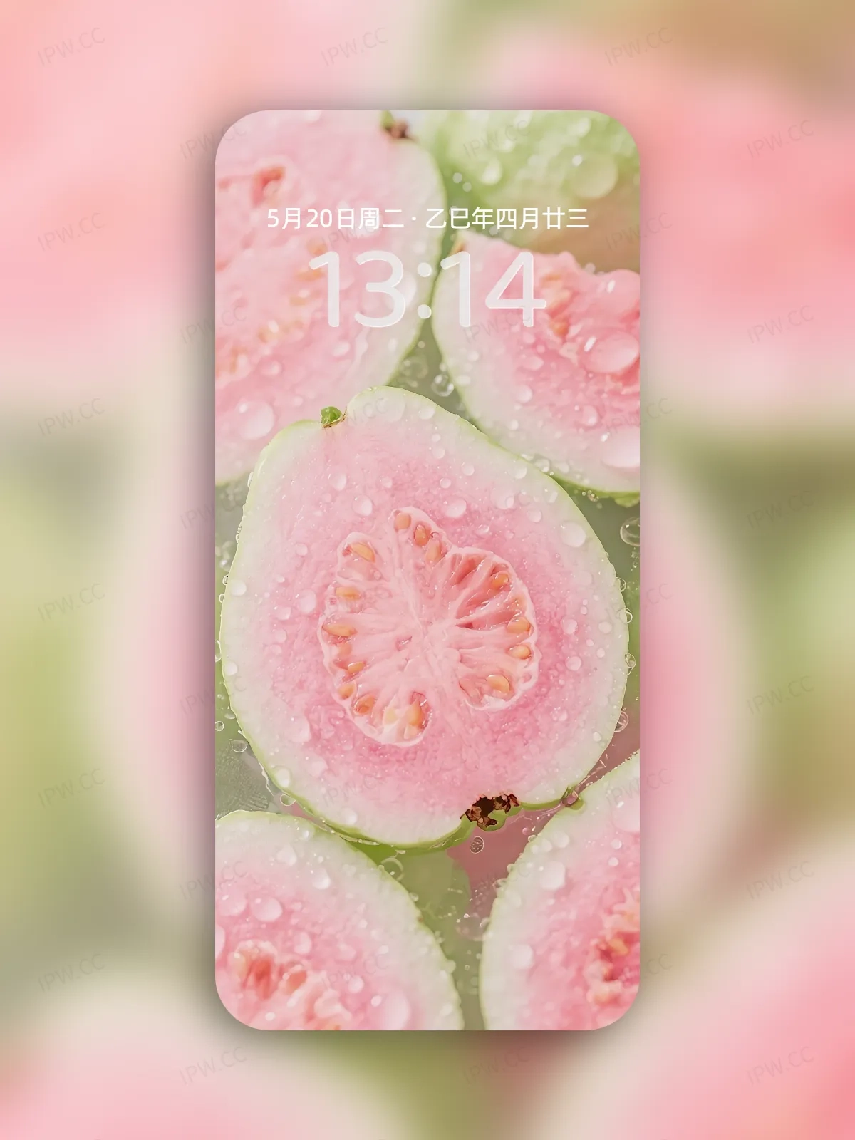 番石榴手机高清静态壁纸#20250801230409 48df05cc8b24f82