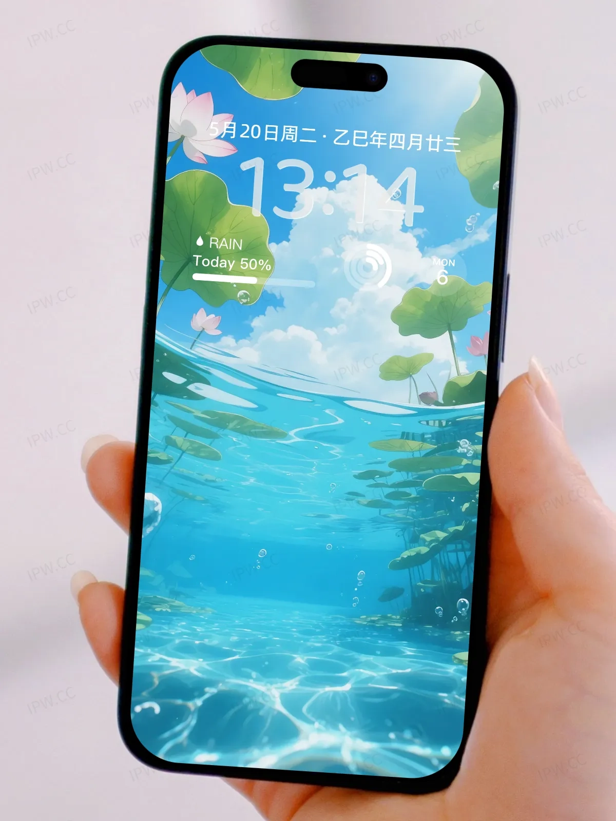 荷塘水中手机高清静态壁纸#20250801230508 52dd2d012299c61