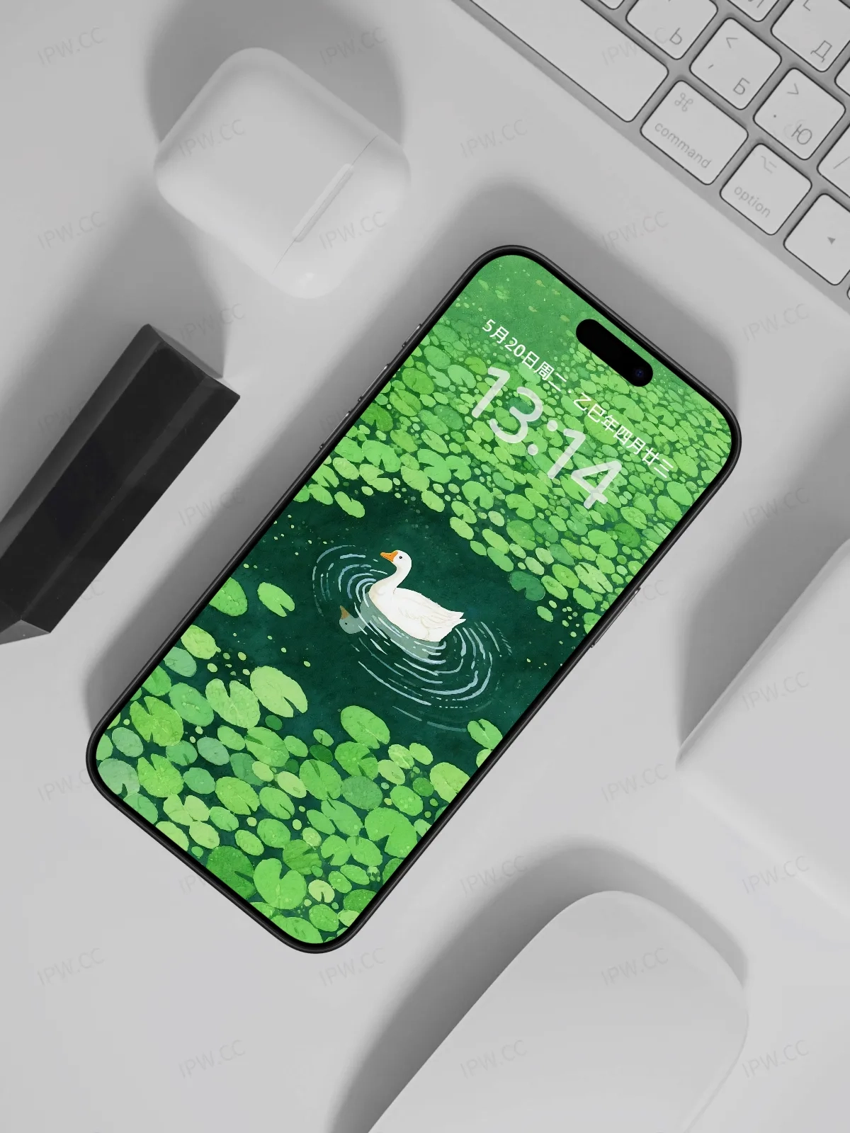 绿水白鸭手机高清静态壁纸#20250801231642 56882f3c7cec5ce