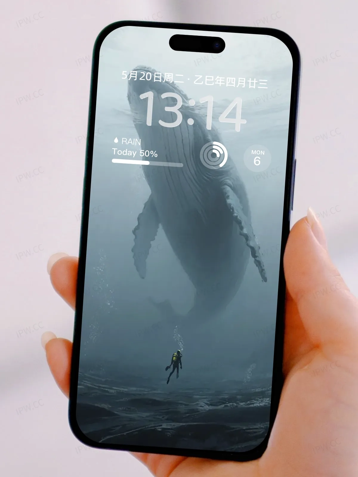 鲸鱼手机高清静态壁纸#20250730142850 5a23bde95b292ba