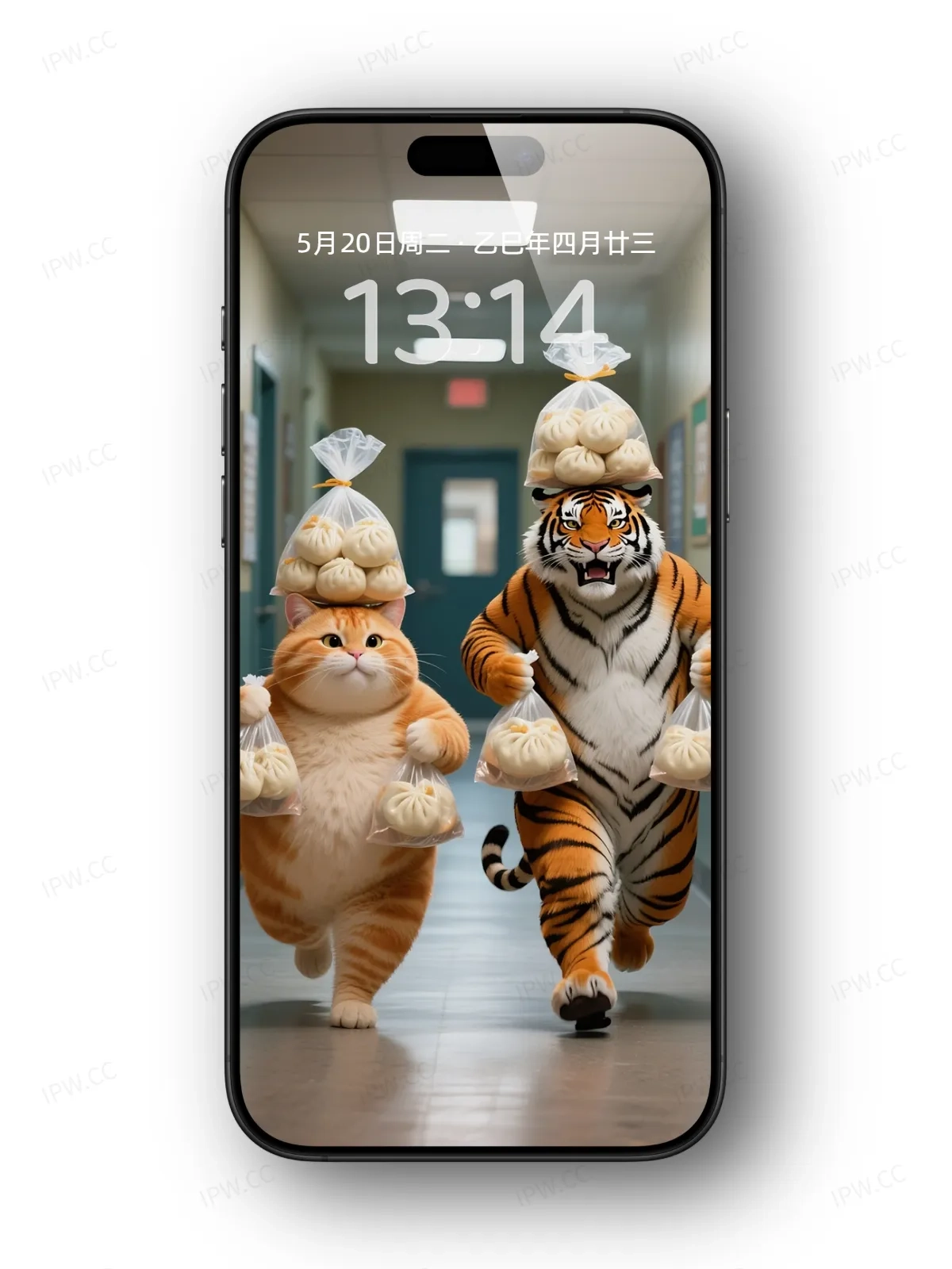 吃货老虎与猫手机高清静态壁纸#20250730142616 5d303f9b71ace64