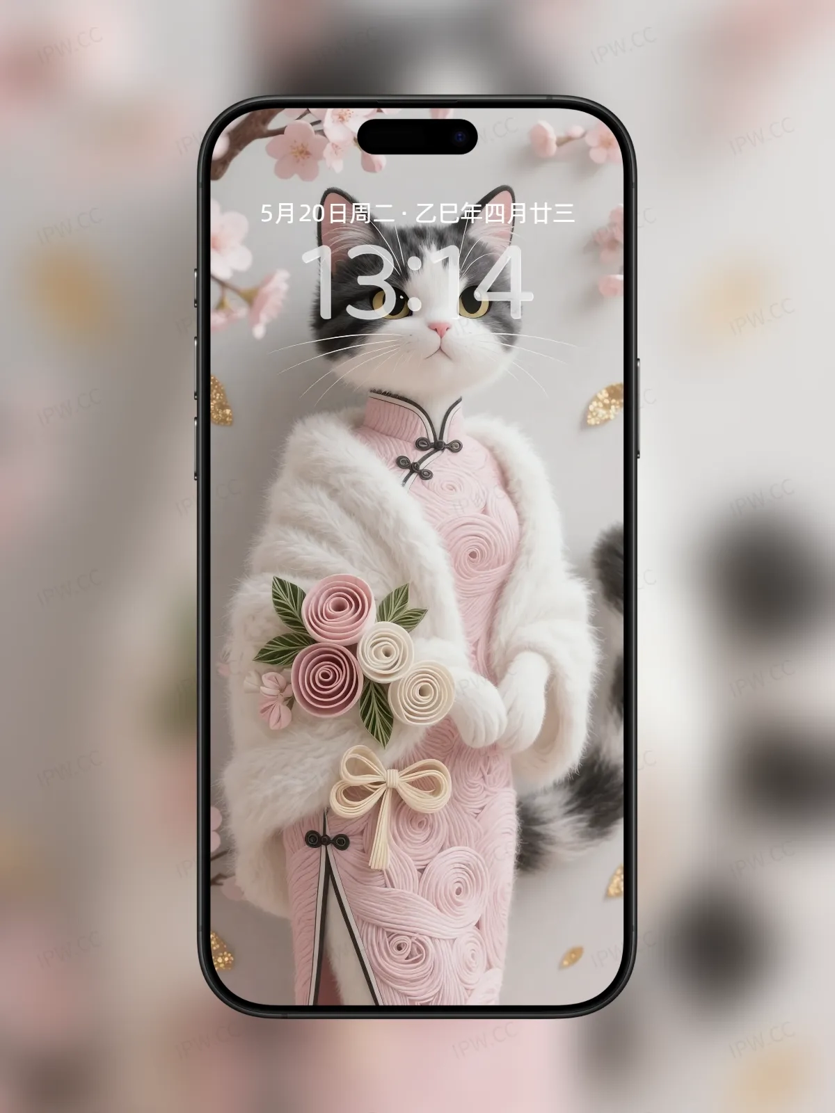 猫小姐手机高清静态壁纸#20250801230344 63ea640410d332e