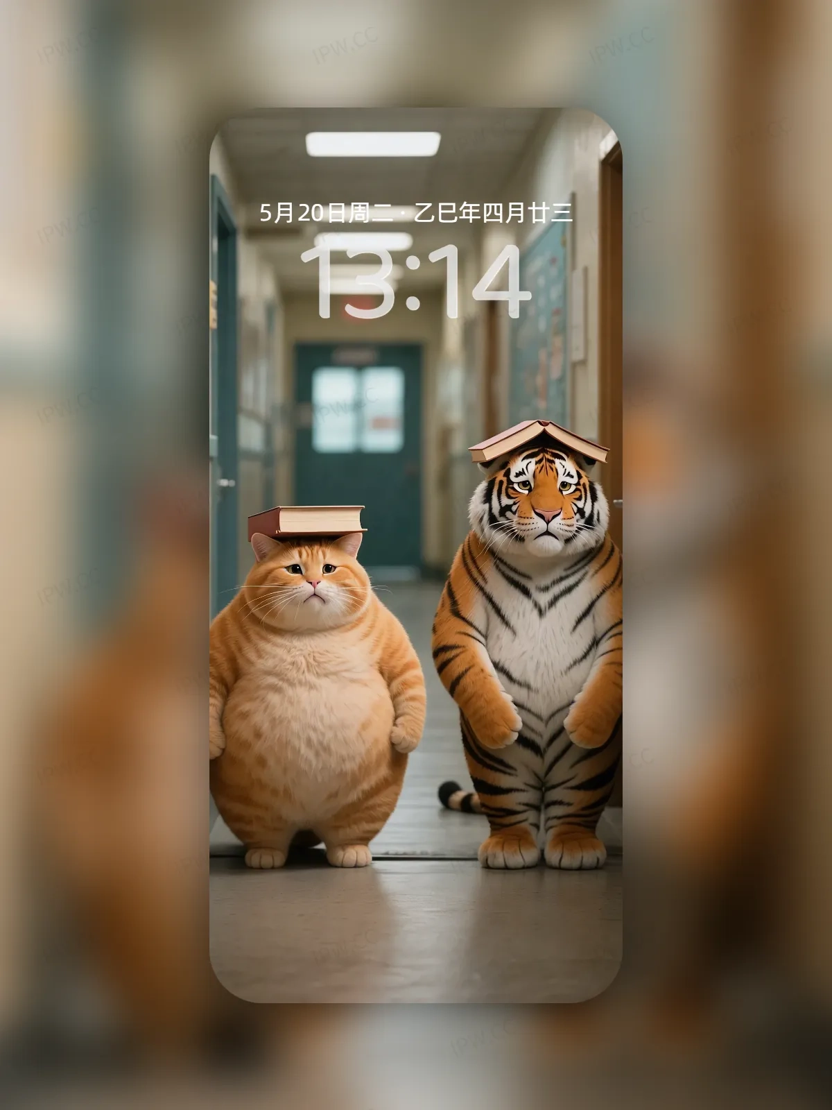罚站的老虎与猫手机高清静态壁纸#20250801230804 693d57a6b28e4e3