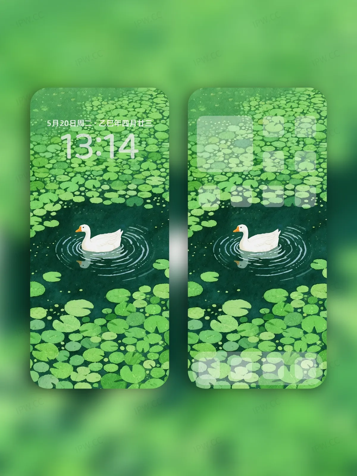 绿水白鸭手机高清静态壁纸#20250801231642 6aa92b51b2e9498