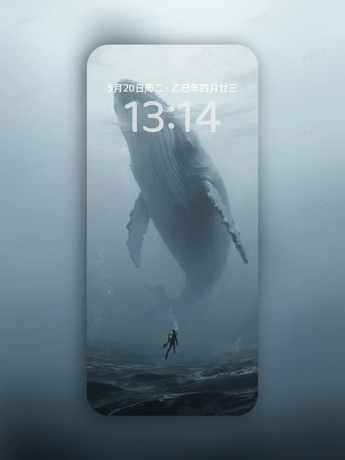 鲸鱼手机高清静态壁纸#20250730142850 6d06dfa5b2bc2cd