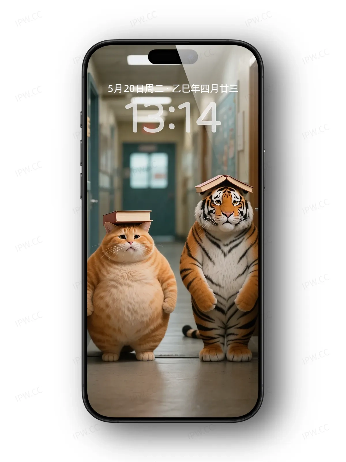 罚站的老虎与猫手机高清静态壁纸#20250801230804 6d21980a85d09b7