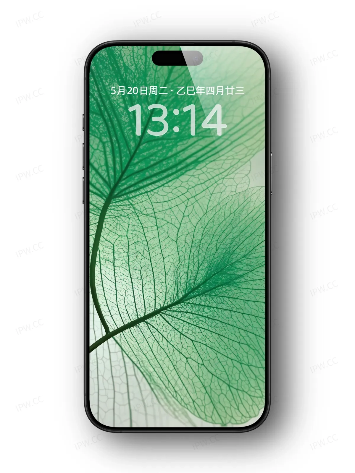 树叶手机高清静态壁纸#20250801230436 78736ffdcc2045b