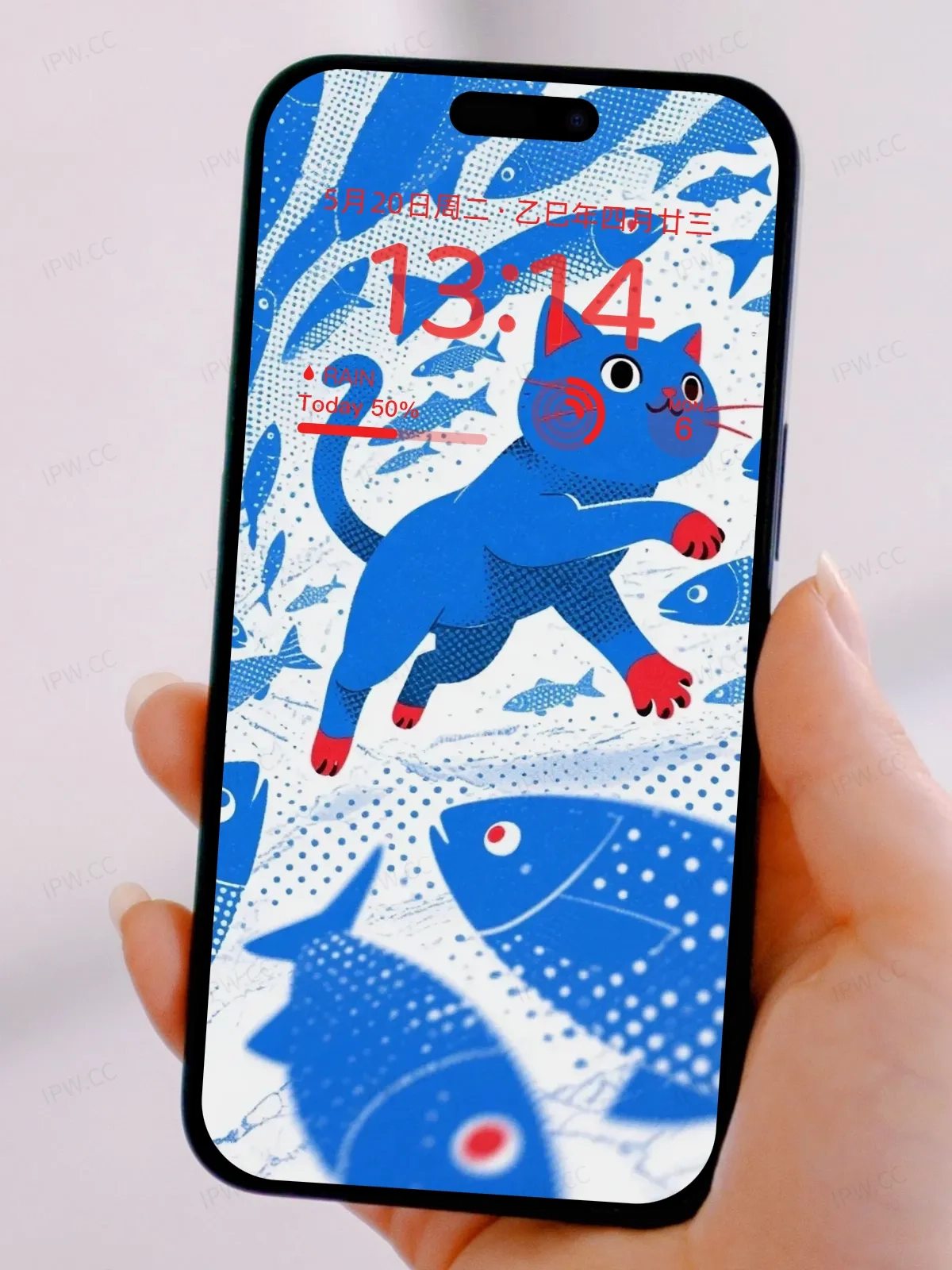 猫咪与鱼手机高清静态壁纸#20250730144030 7c7b39e44bc48fa