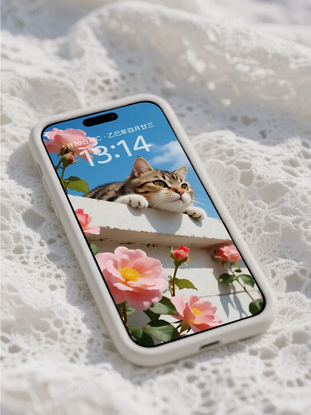 墙上的猫咪手机高清静态壁纸#20250801231745 7d7c04b44832b41