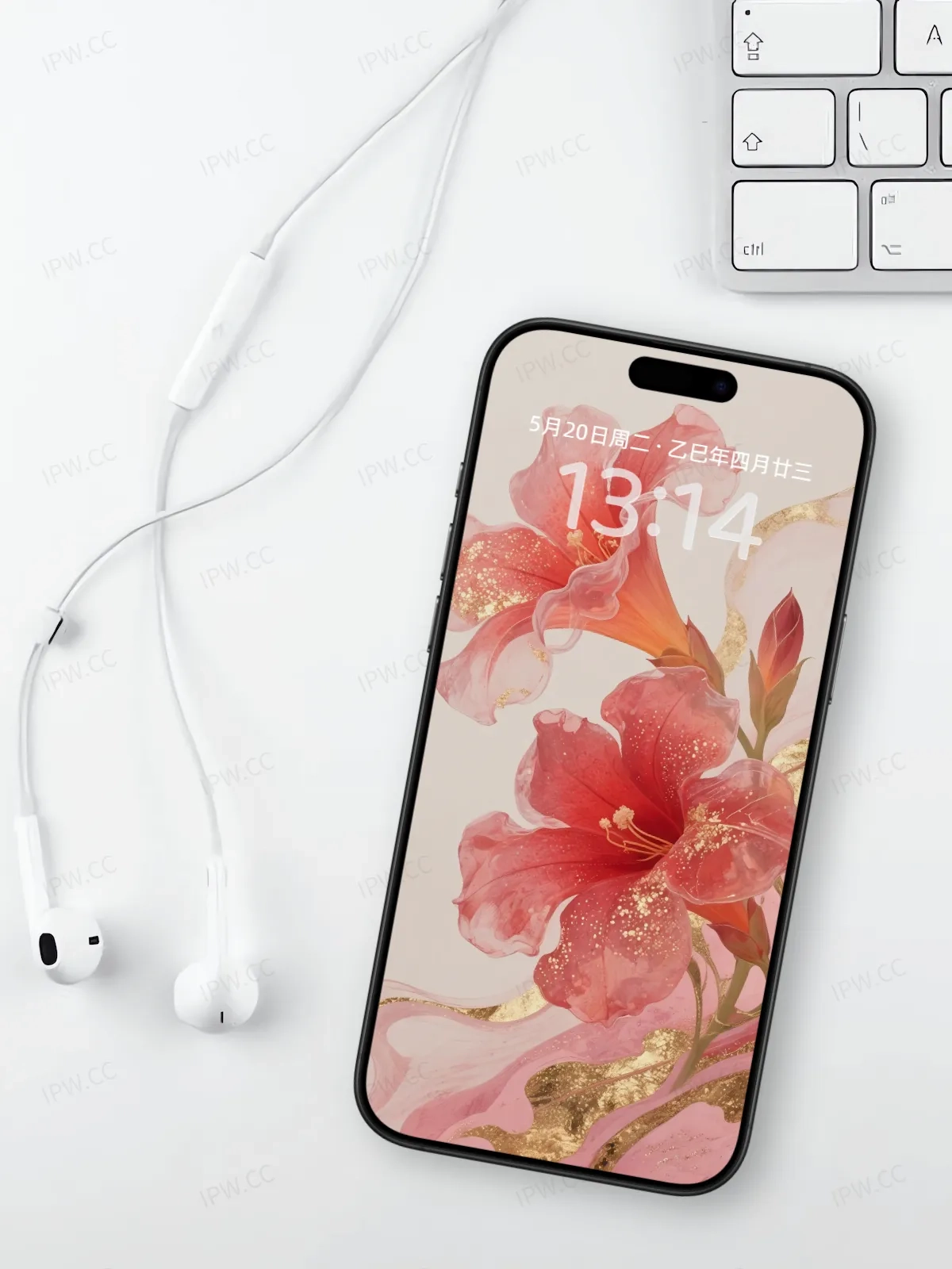 红花手机高清静态壁纸#20250801230839 831e6df1d49f440