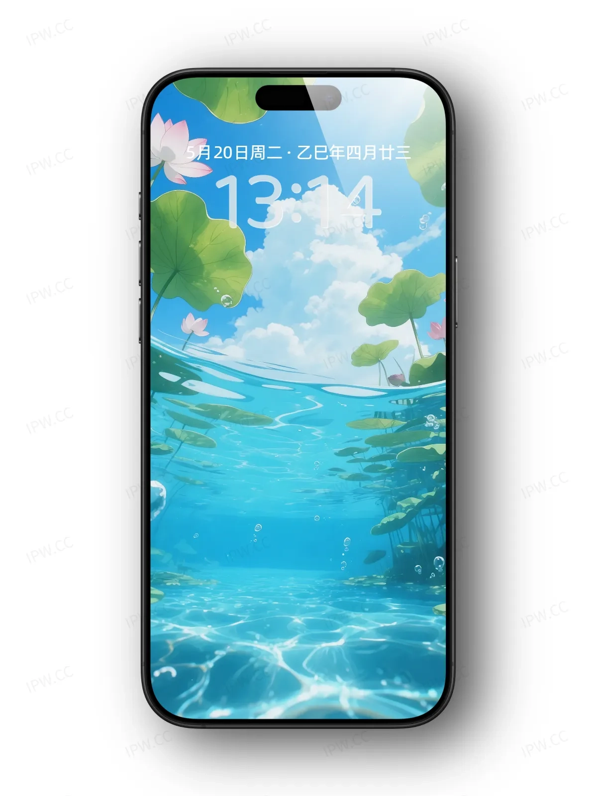 荷塘水中手机高清静态壁纸#20250801230508 84c1b128d9fcb29