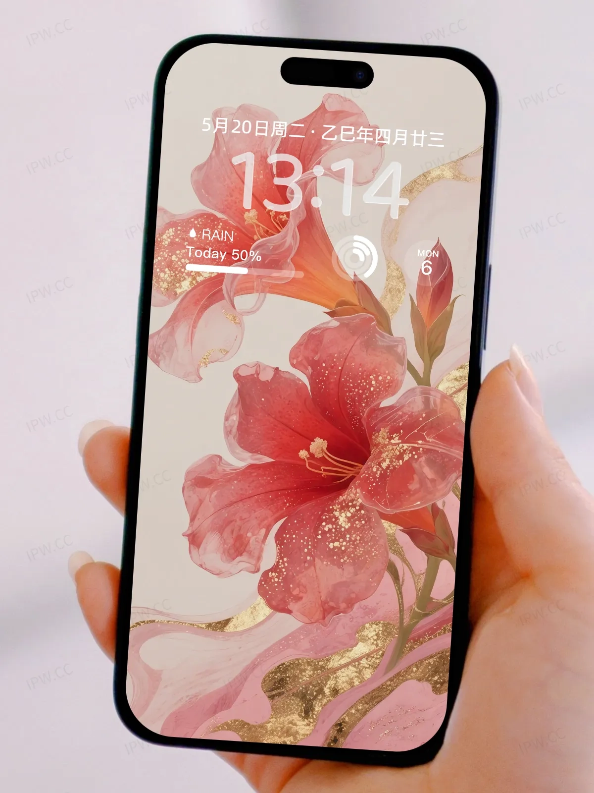 红花手机高清静态壁纸#20250801230839 890a84d206efabb