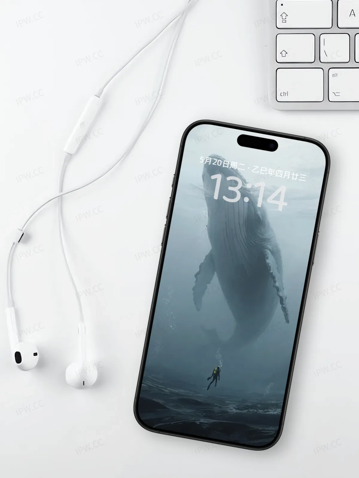 鲸鱼手机高清静态壁纸#20250730142850 8a038bfeb69965a