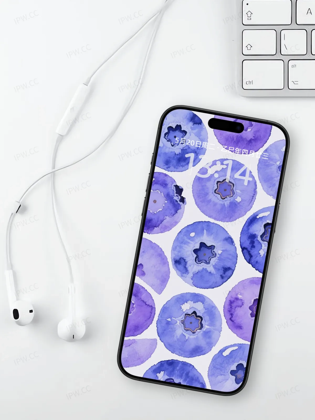 蓝莓手机高清静态壁纸#20250801232122 8ae8c92ca7269c6