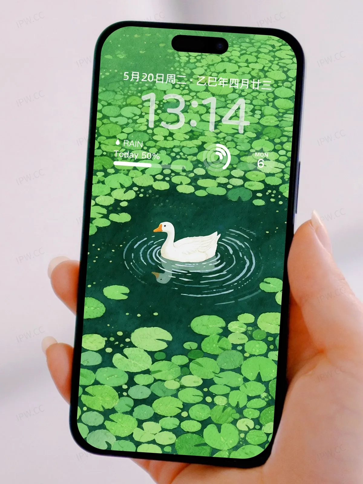 绿水白鸭手机高清静态壁纸#20250801231642 94603b2affceca3