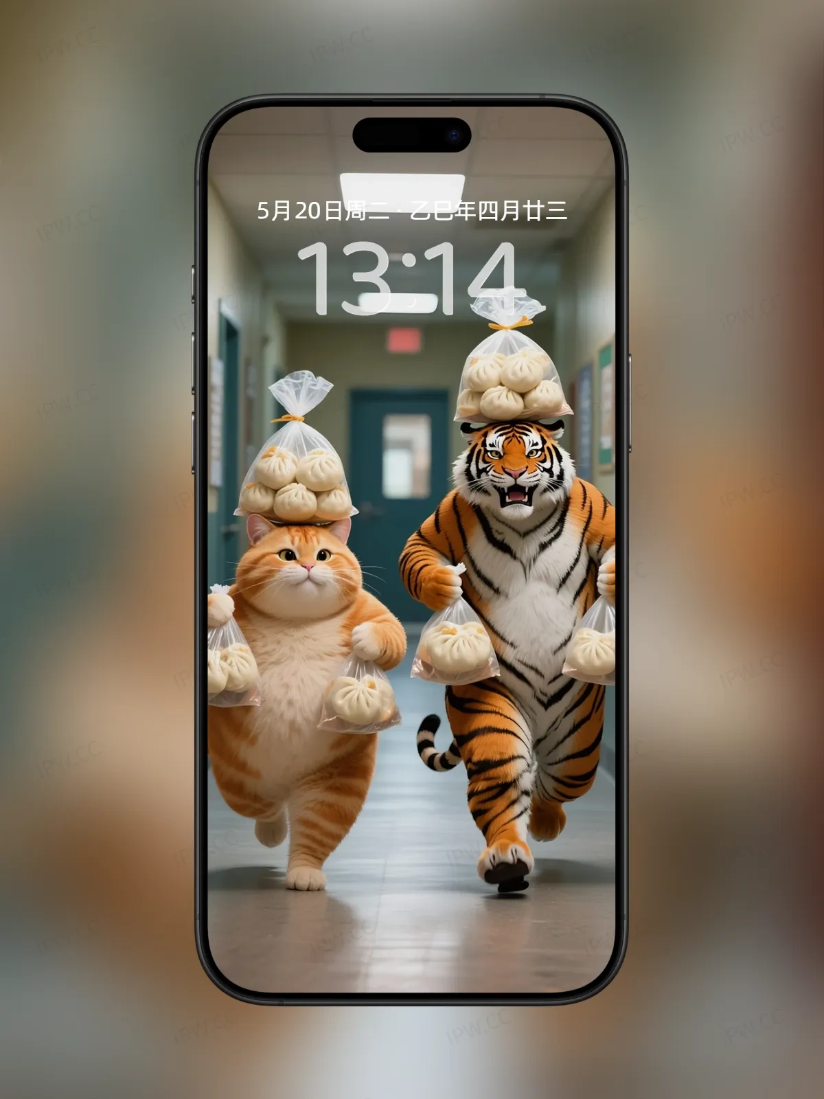 吃货老虎与猫手机高清静态壁纸#20250730142616 a32c581e4aae649