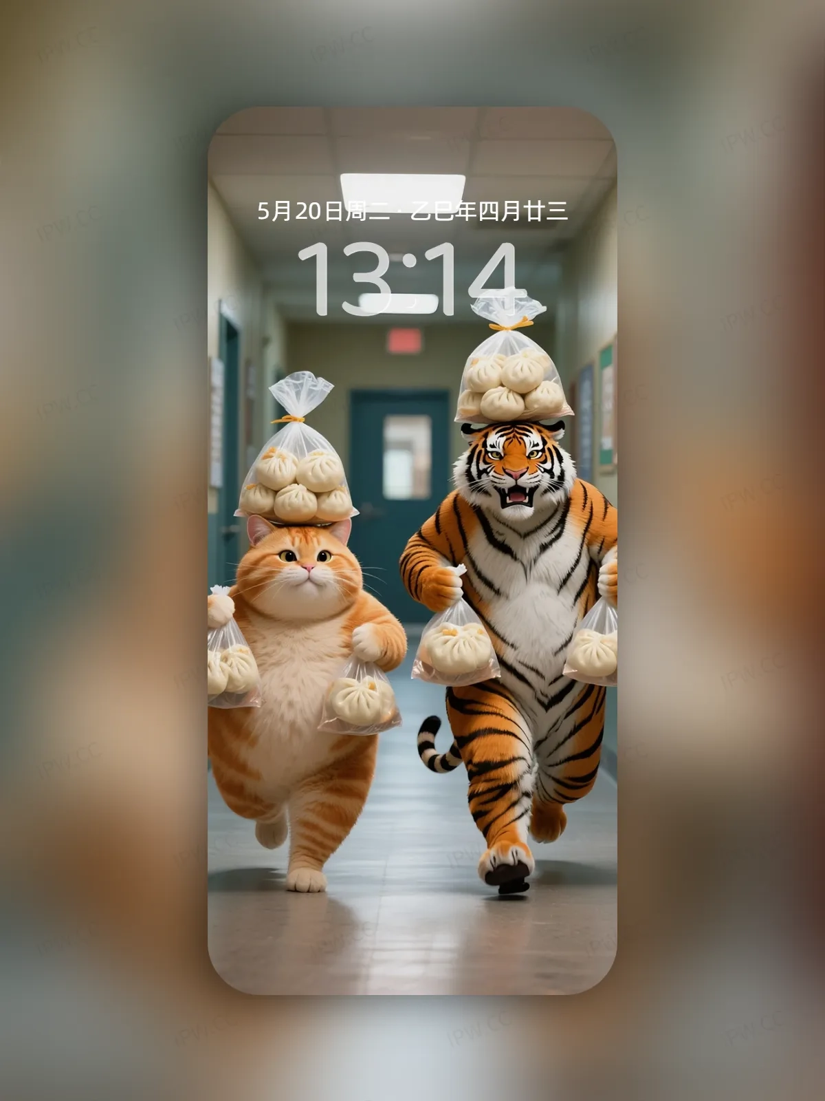 吃货老虎与猫手机高清静态壁纸#20250730142616 a96dd83f15eca1e