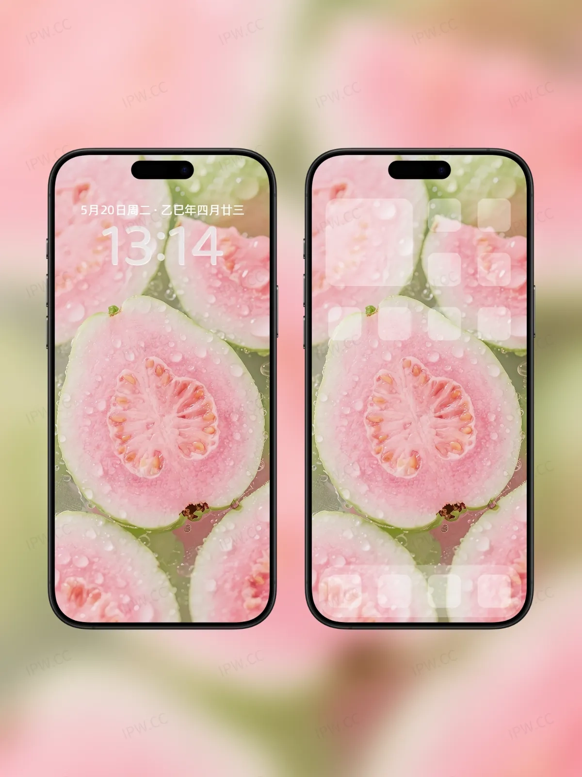 番石榴手机高清静态壁纸#20250801230409 acbb253117e1e3c