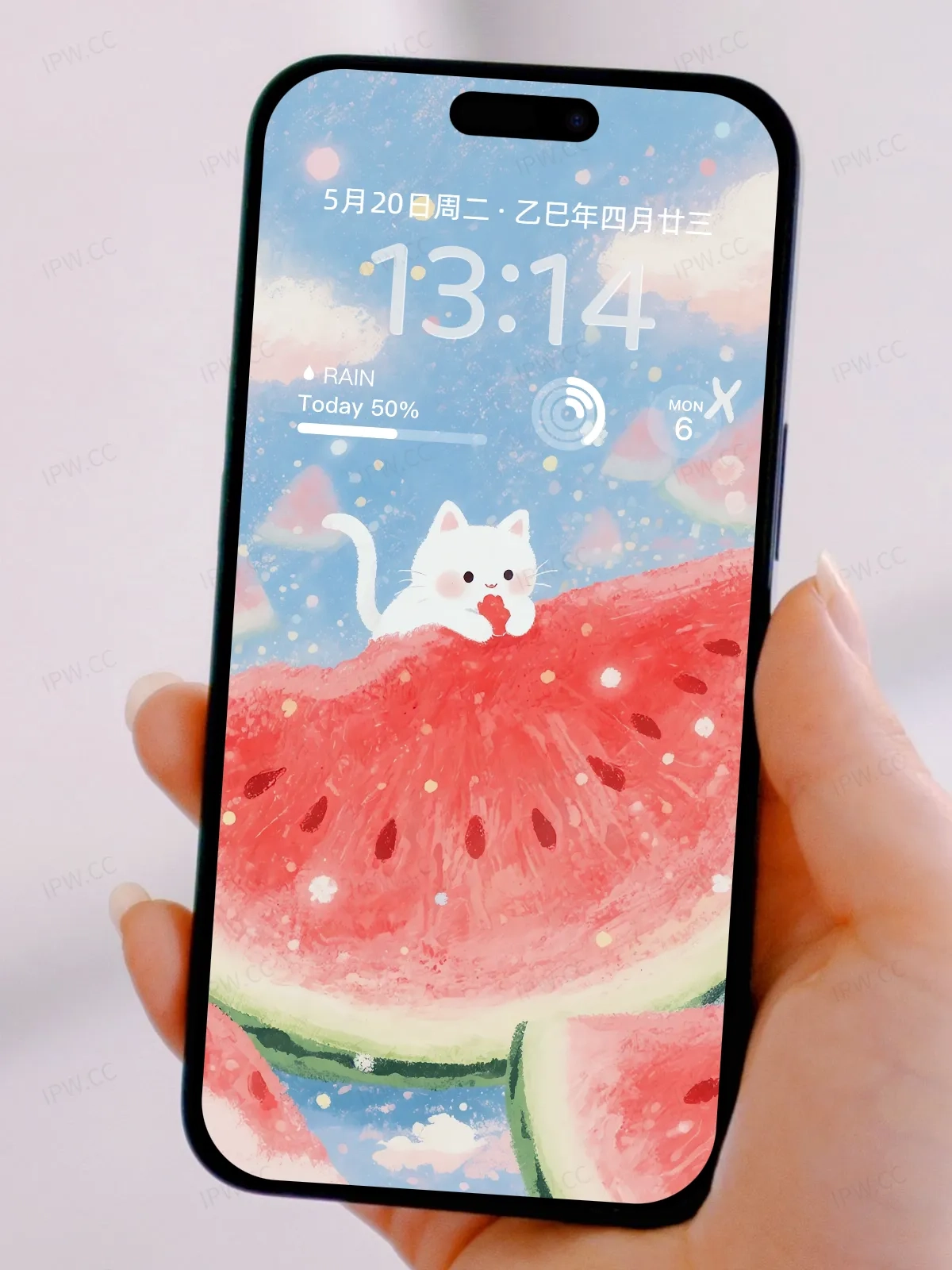 猫咪吃西瓜手机高清静态壁纸#20250801230828 aec89f920692b28