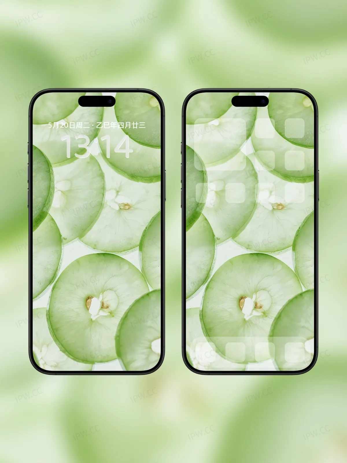 蔬菜切片手机高清静态壁纸#20250801230229 af68f9b3439f6f6