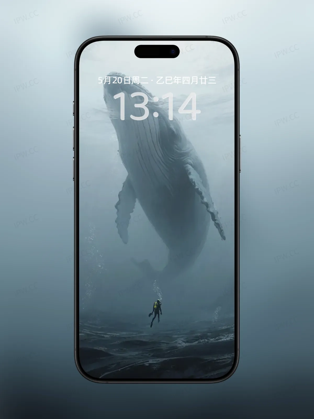 鲸鱼手机高清静态壁纸#20250730142850 b386d376244ccac