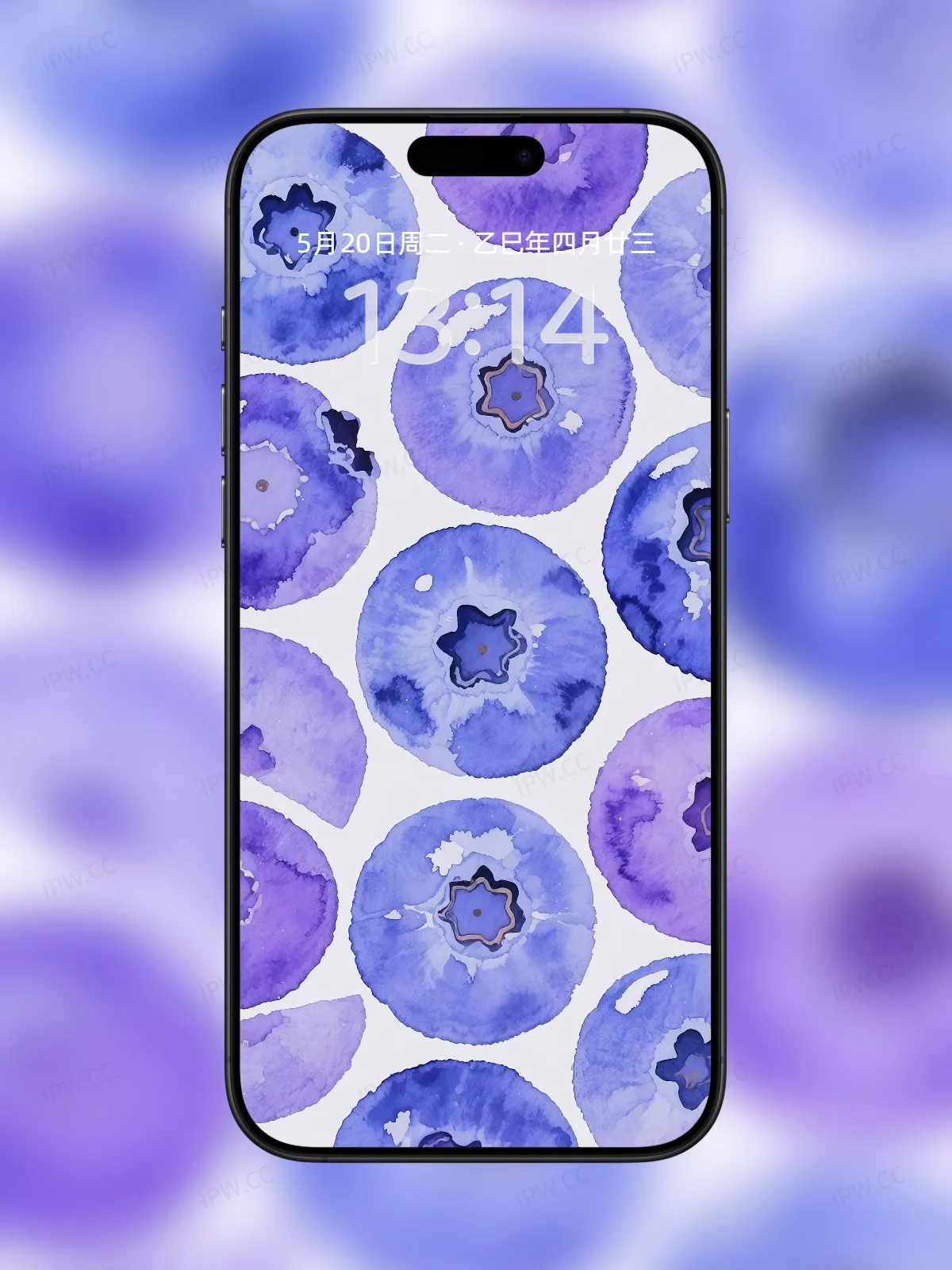 蓝莓手机高清静态壁纸#20250801232122 b3e080e78050d36