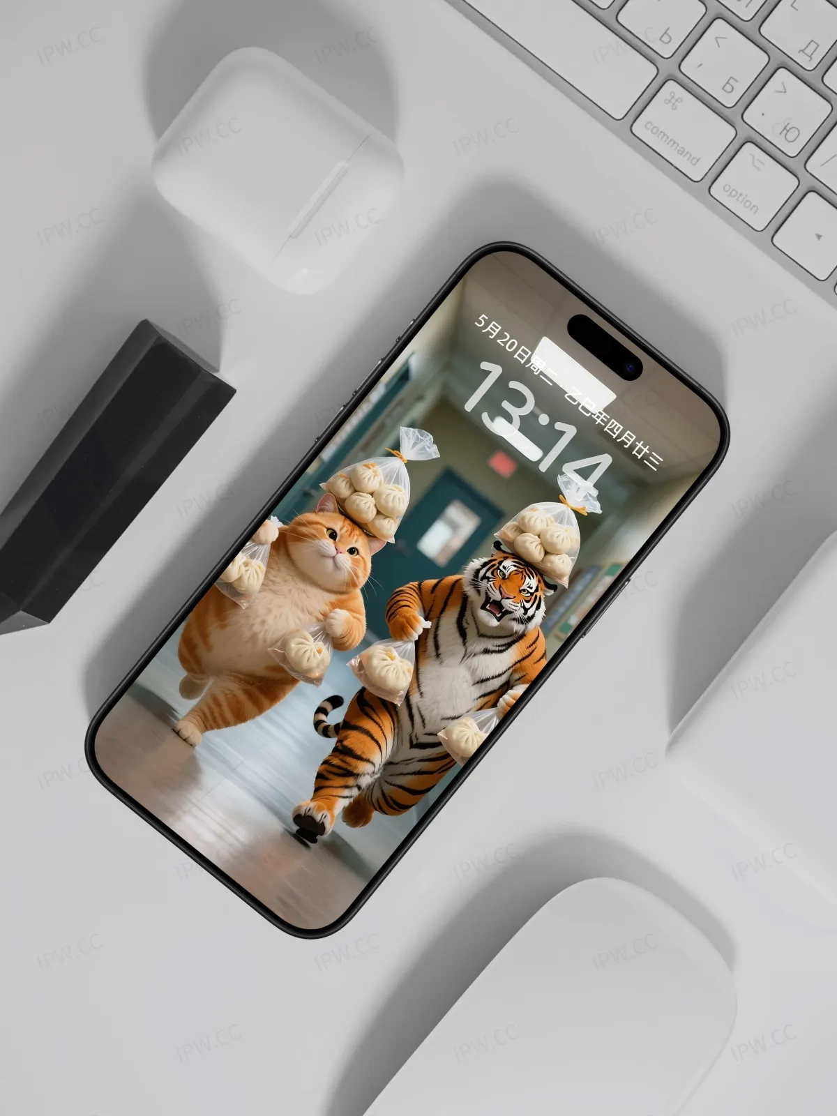 吃货老虎与猫手机高清静态壁纸#20250730142616 b70f43212fa6da2