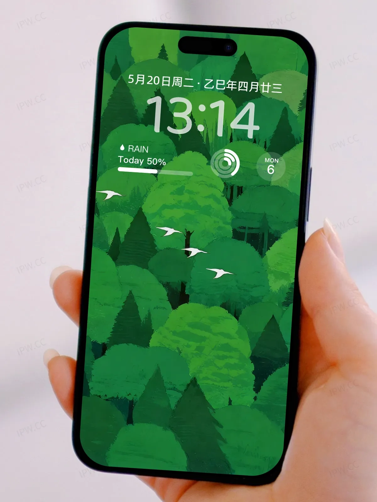 树林飞鸟手机高清静态壁纸#20250801225931 b921b07a4517abb