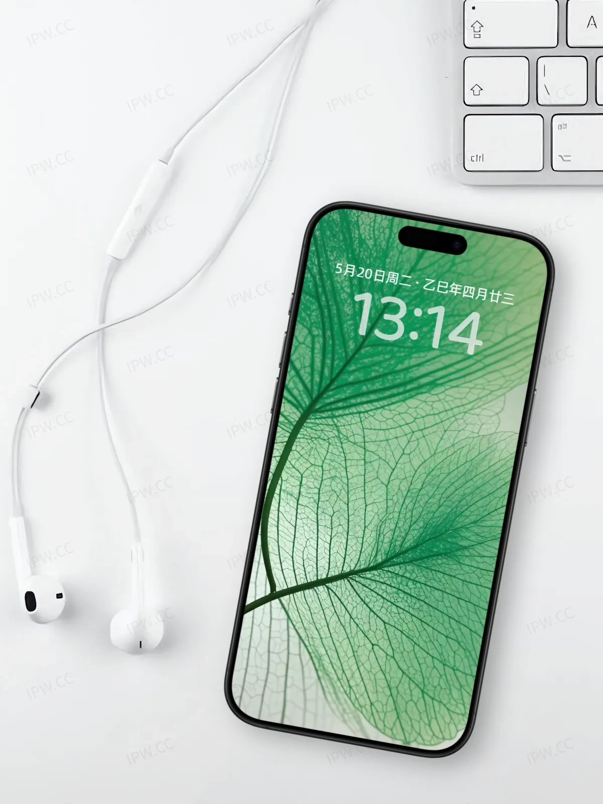 树叶手机高清静态壁纸#20250801230436 bc27727de5c69d9