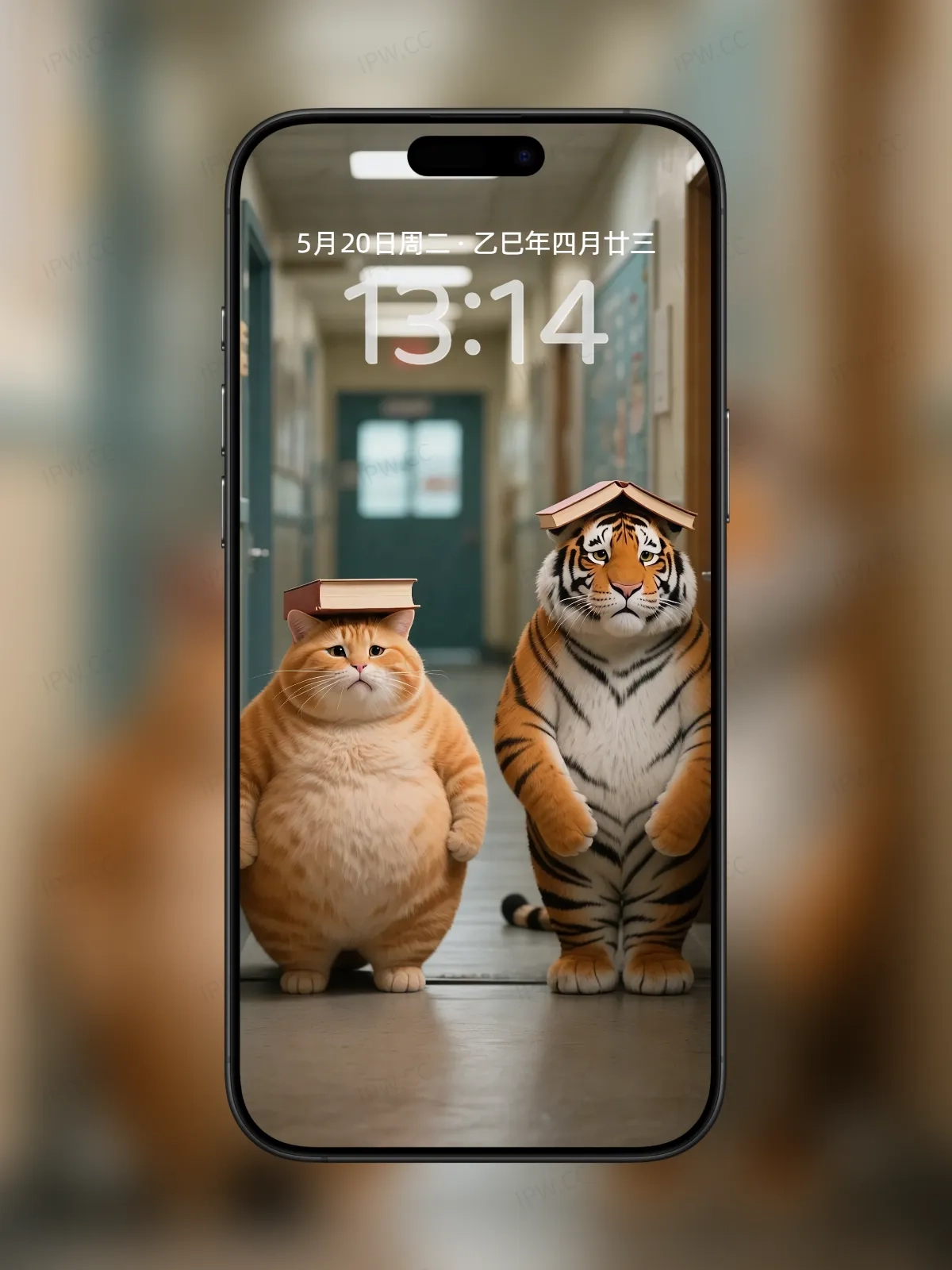 罚站的老虎与猫手机高清静态壁纸#20250801230804 bd3f4180ce6c34d