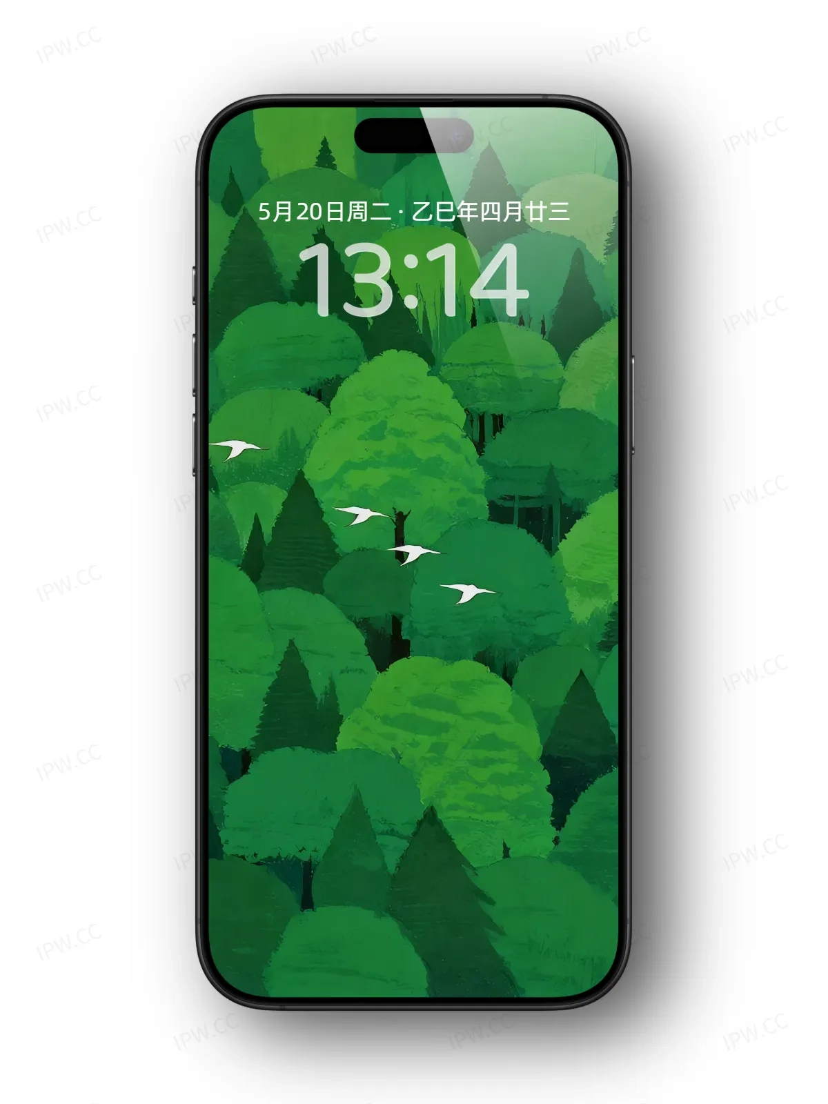 树林飞鸟手机高清静态壁纸#20250801225931 c23e705b4591e7b