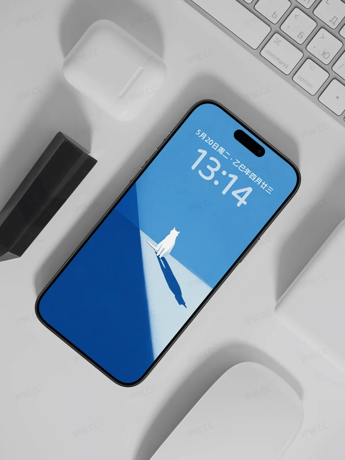 猫与阴影手机高清静态壁纸#20250801232046 c334a7af03c7a12