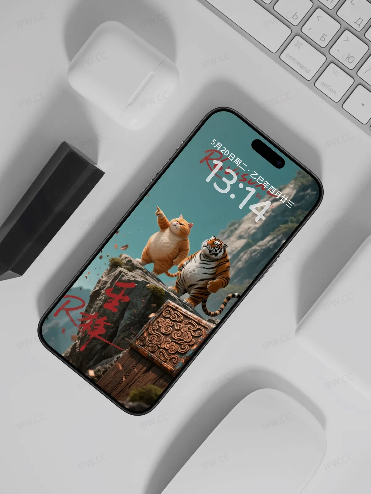 老虎与猫手机高清静态壁纸#20250730144049 c69abd51aaf8500