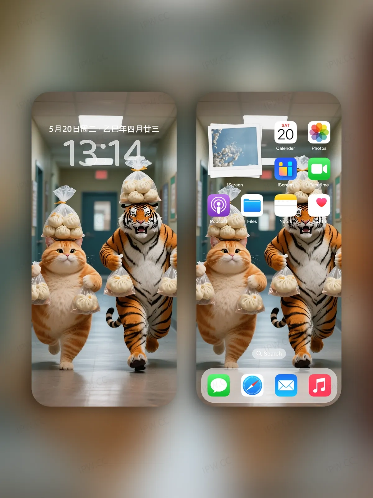 吃货老虎与猫手机高清静态壁纸#20250730142616 c6d8acf1637ff9c