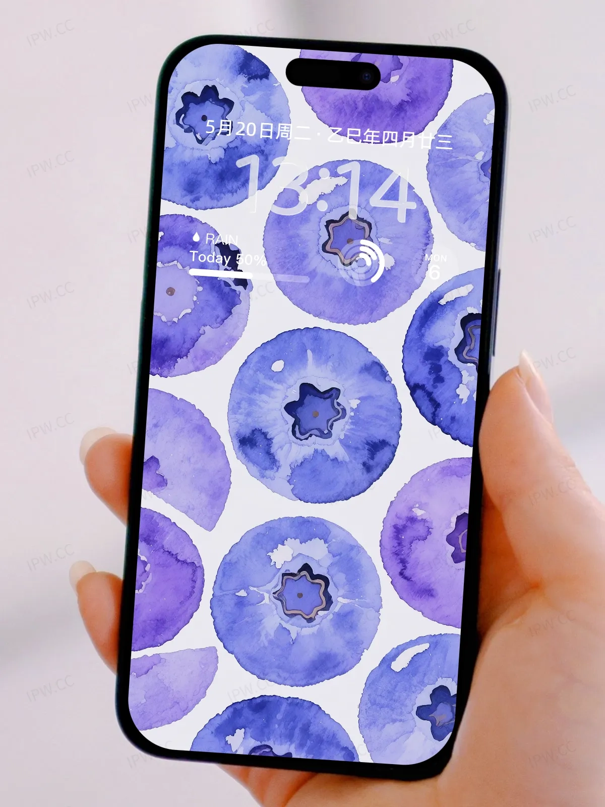 蓝莓手机高清静态壁纸#20250801232122 c8bf8b007f6a063