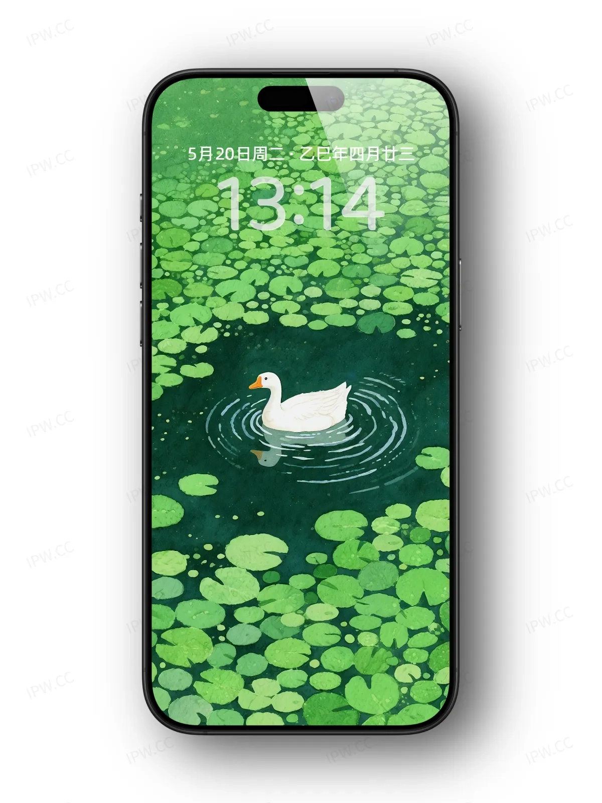 绿水白鸭手机高清静态壁纸#20250801231642 c9c437393a13f7f