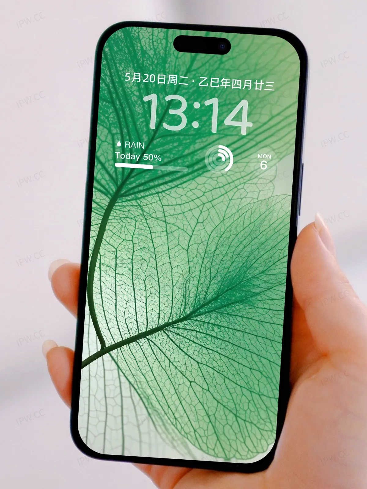 树叶手机高清静态壁纸#20250801230436 ccb2df5a61f22ff