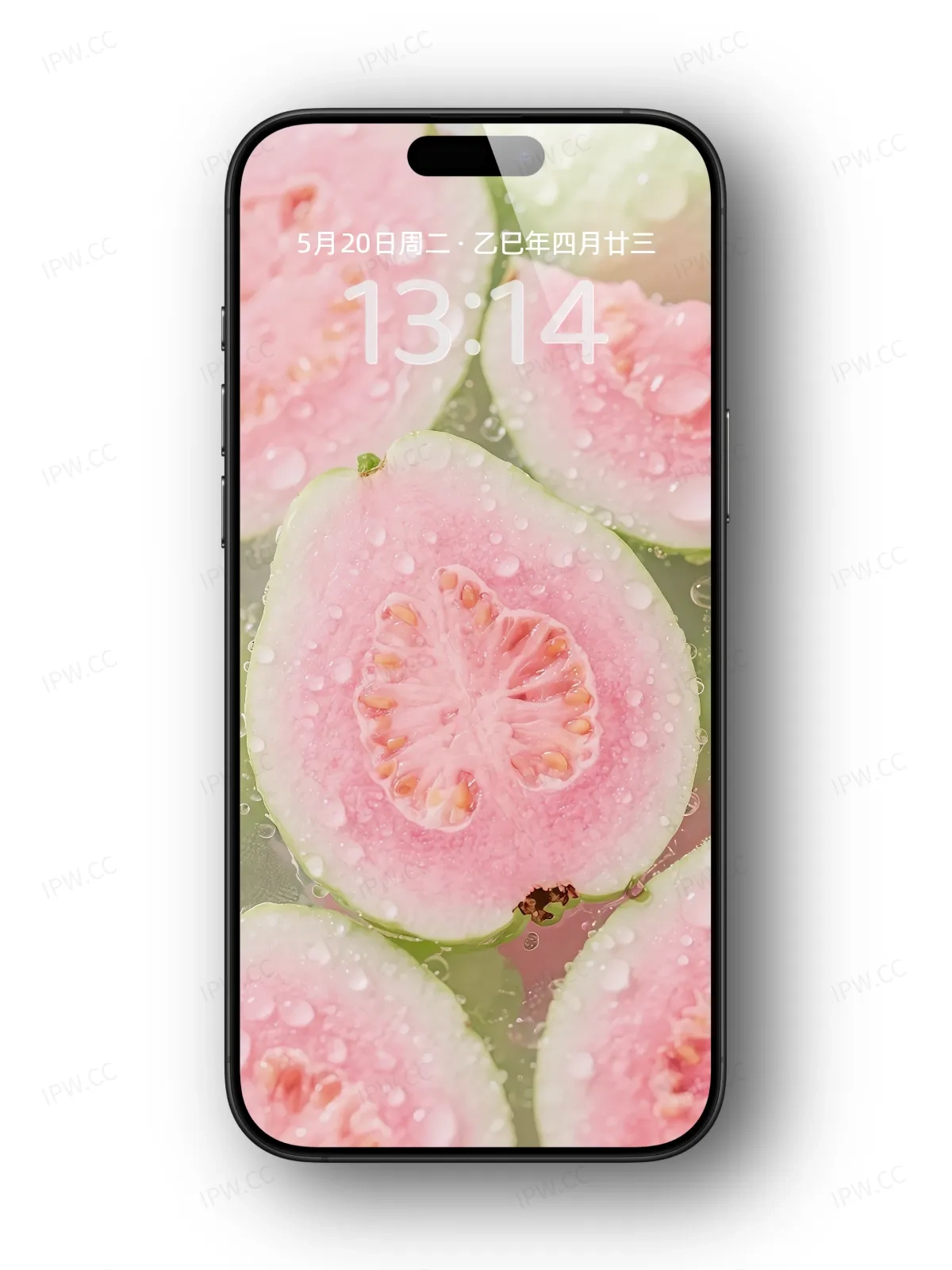 番石榴手机高清静态壁纸#20250801230409 cd5b483d784eb6f