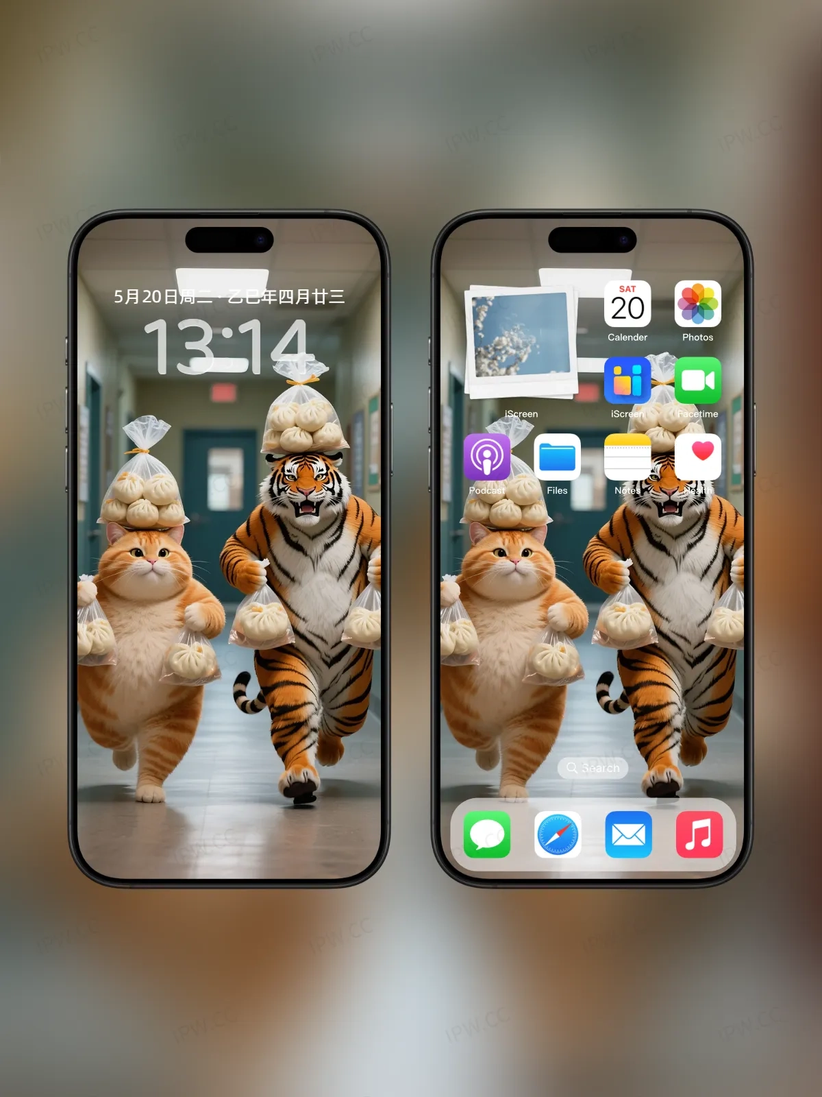 吃货老虎与猫手机高清静态壁纸#20250730142616 ceb60380a7482e9