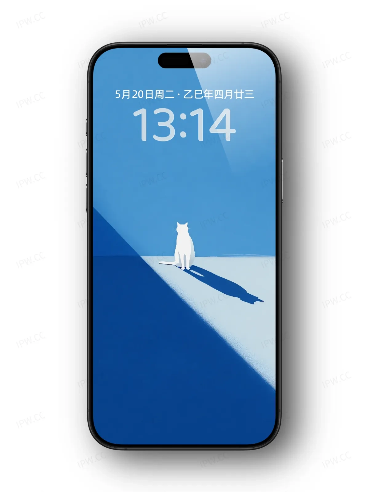 猫与阴影手机高清静态壁纸#20250801232046 d2d94d71fcd032d