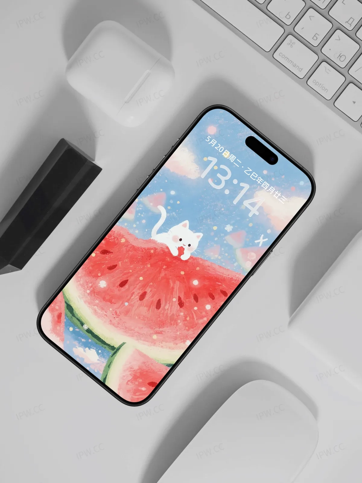 猫咪吃西瓜手机高清静态壁纸#20250801230828 d66553f59391a03
