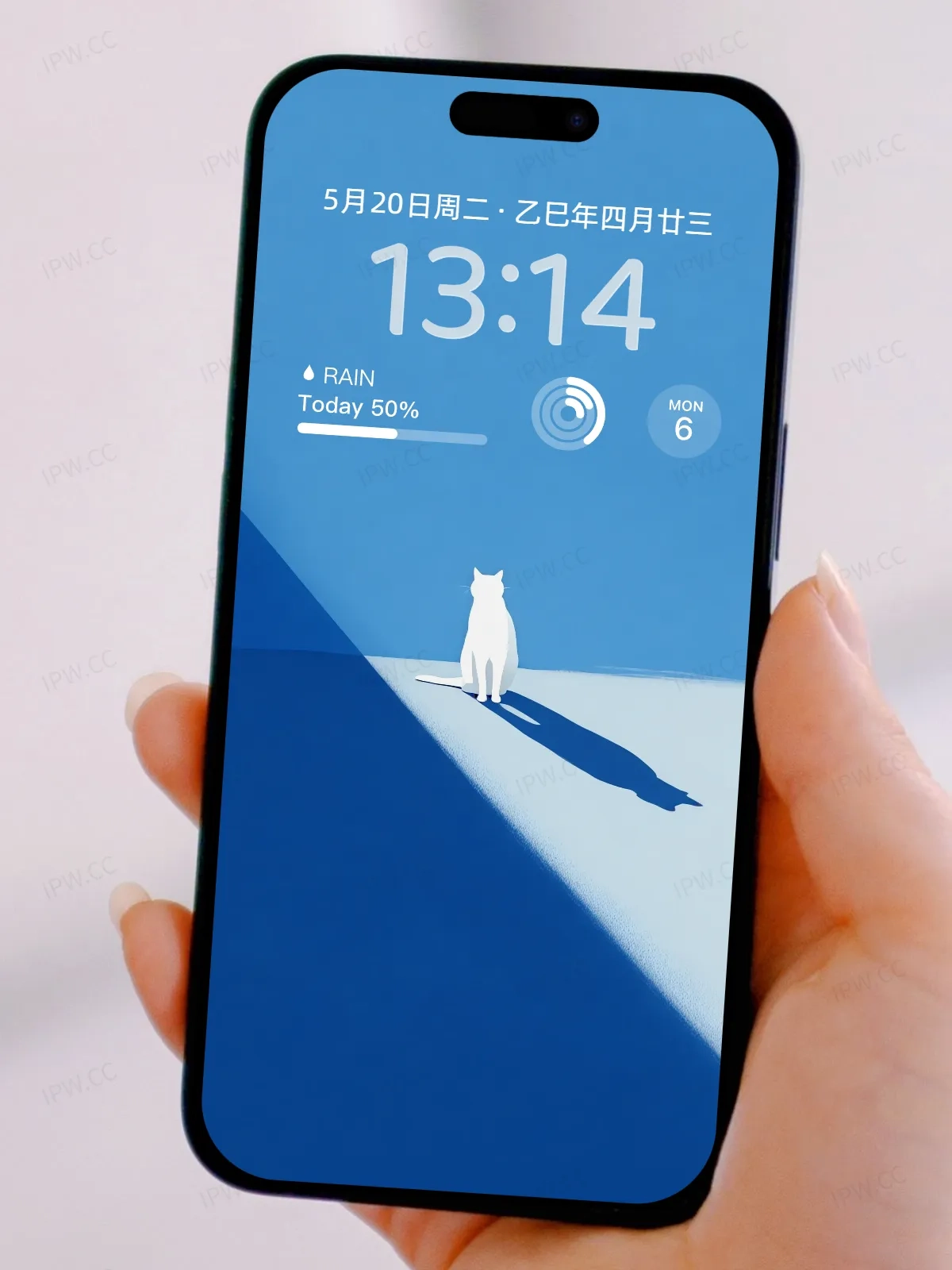 猫与阴影手机高清静态壁纸#20250801232046 d6c70e6d0e1bf14