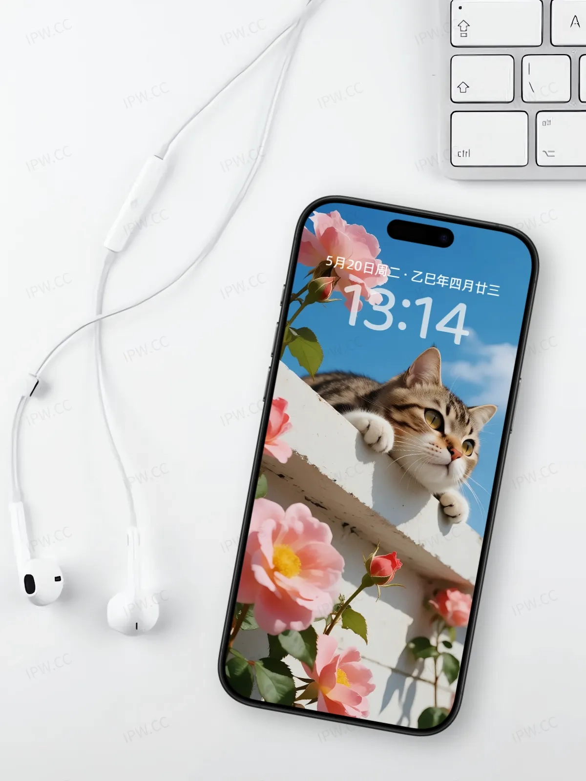 墙上的猫咪手机高清静态壁纸#20250801231745 d7e104bf9c183ed